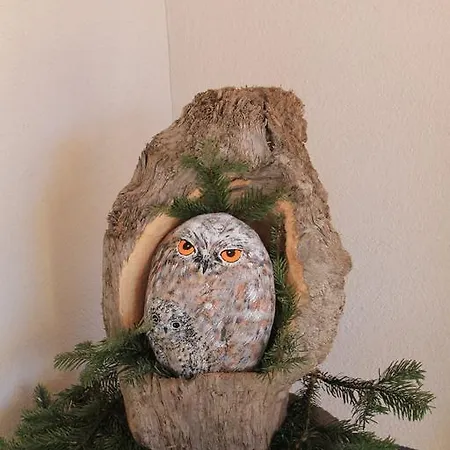 Ferienhaus Stricker Ehrwald
