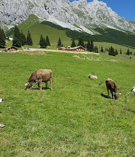 Stricker Ehrwald